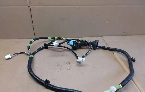 Rear door wiring loom