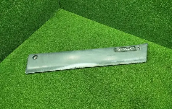 Front door trim (molding)