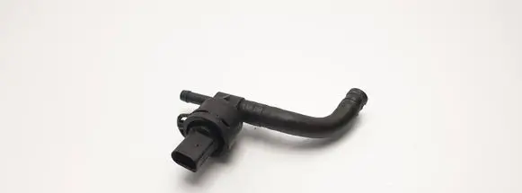Volkswagen PASSAT B6 Fuel temperature sensor 038906081B