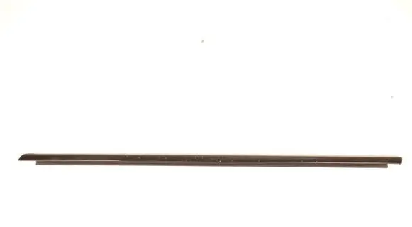 BMW X5 G05 Front door glass trim molding 