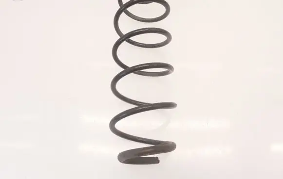 Renault Laguna III Rear coil spring RH6395