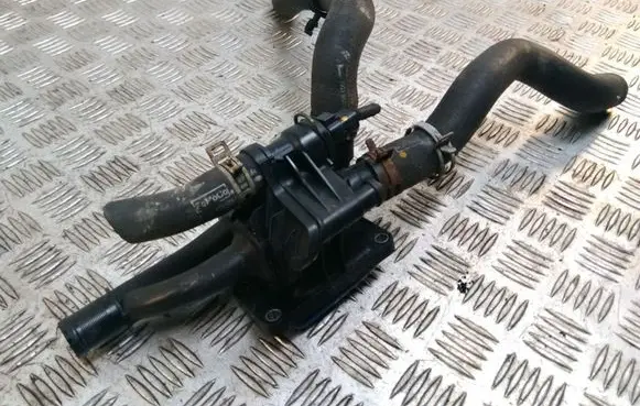 Thermostat/thermostat housing