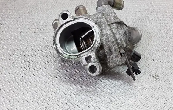 Thermostat/thermostat housing