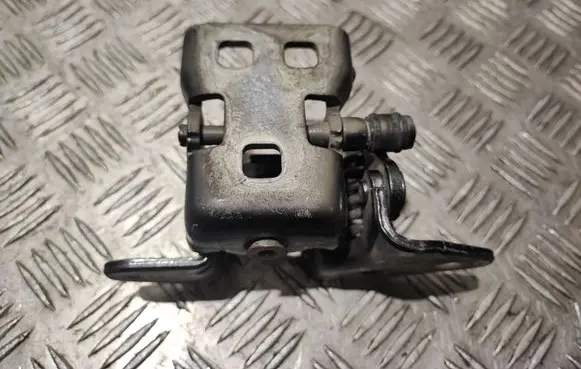 Dodge Challenger Front door lower hinge 107AE