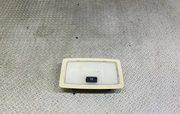 Lexus NX Rear seat light 20171123