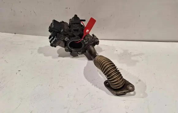 Renault Trafic II (X83) EGR valve H8200987088