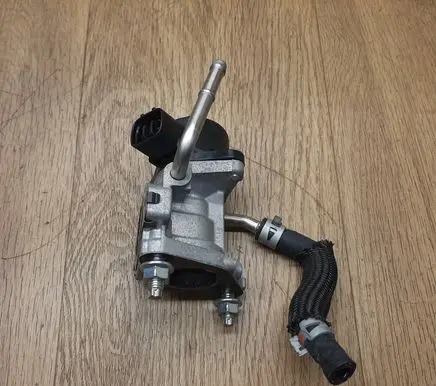 EGR valve