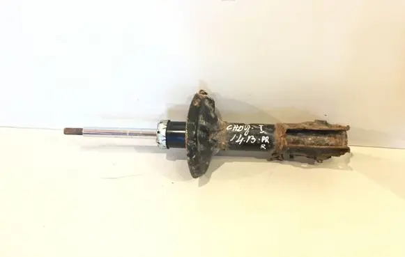 Volkswagen Caddy Front shock absorber/damper 346301EGT 201301