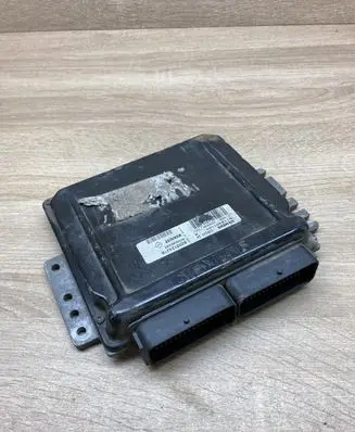 Engine control unit/module ECU