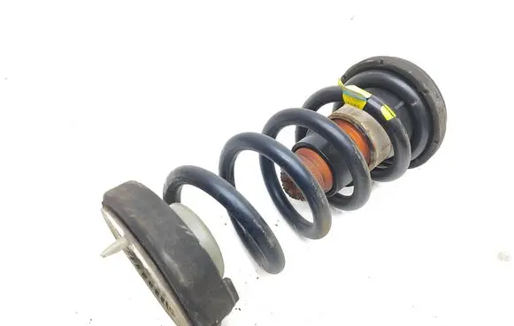 Rear coil spring