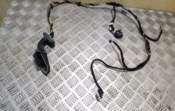 Rear door wiring loom
