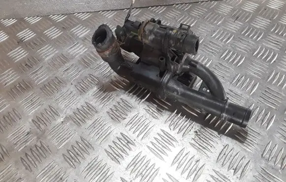 Thermostat/thermostat housing