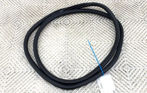 Opel Grandland X Rubber seal front door (on door) 