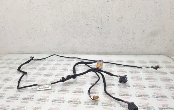 Front door wiring loom