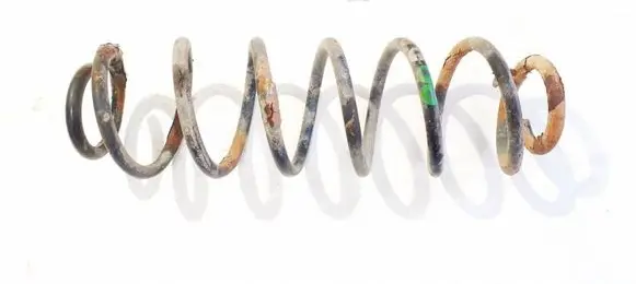 Rear coil spring