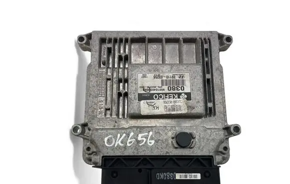 Hyundai i20 (PB PBT) Engine control unit/module ECU 3911003256
