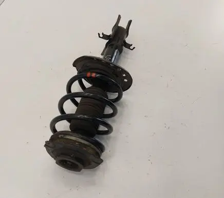 Nissan Leaf II (ZE1) Front shock absorber with coil spring