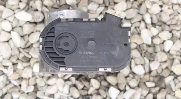 KIA Rio Throttle valve 3510004200 9045020008