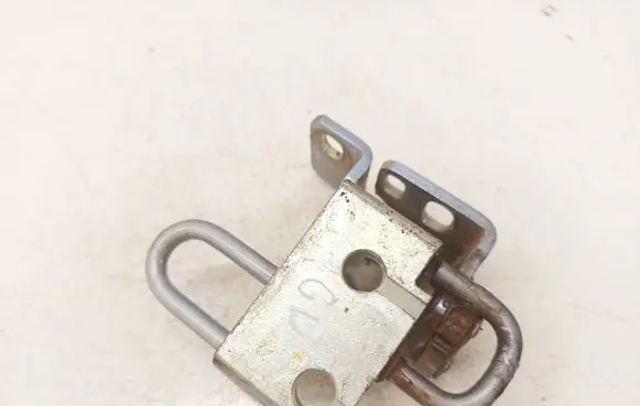 Volkswagen Golf VI Rear door lower hinge 