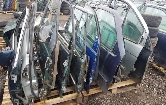KIA Carnival Front door GREEN
