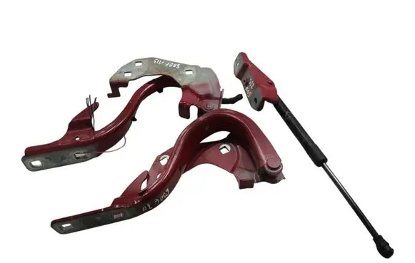 Engine bonnet/hood hinges