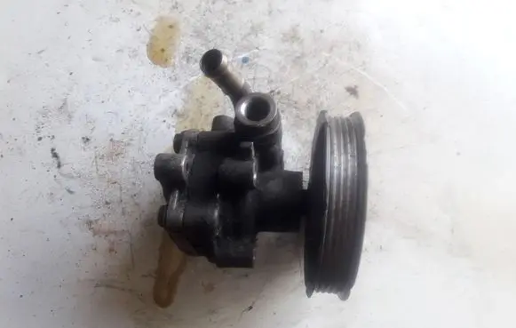 Volkswagen PASSAT B5.5 Power steering pump 800145377