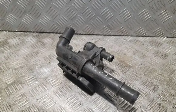 Thermostat/thermostat housing
