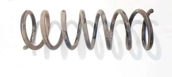 Ford Focus C-MAX Rear coil spring