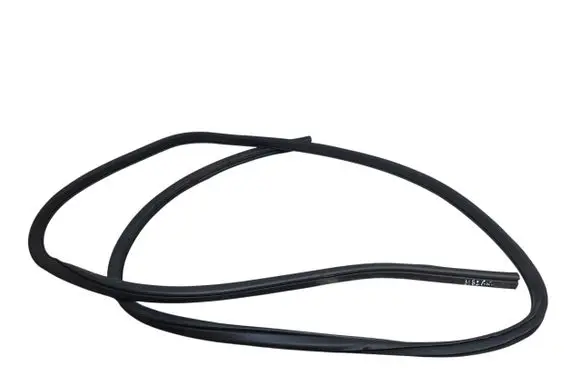 Nissan Leaf I (ZE0) Front door rubber seal
