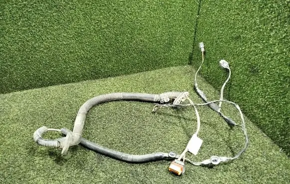 Rear door wiring loom