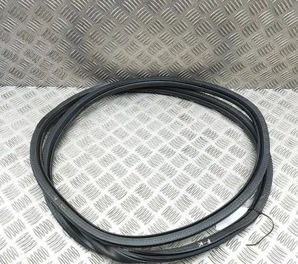 Peugeot 308 Rubber seal front coupe door 9677519680