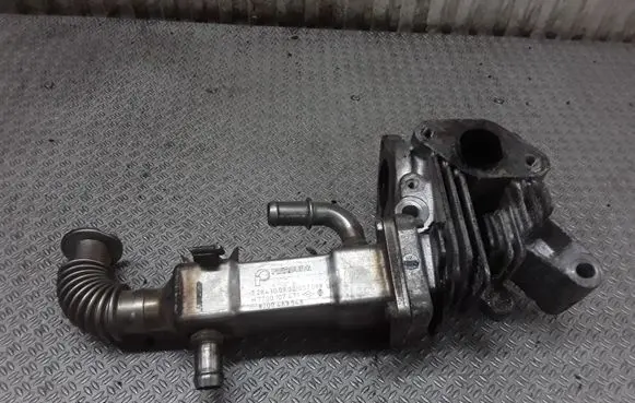 Renault Megane II EGR valve cooler 8200463548