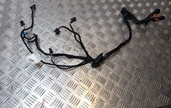 Volkswagen PASSAT B7 USA Rear door wiring loom 561971693AN