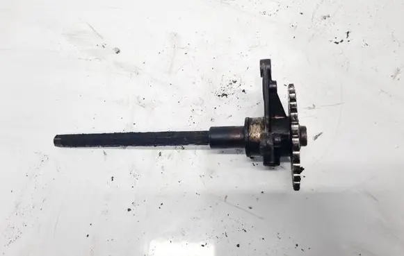 Audi A6 S6 C6 4F Oil pump 06E109361F
