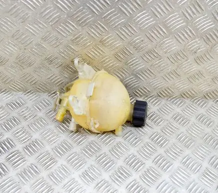 Peugeot 207 Coolant expansion tank/reservoir 9652621280 9680163780