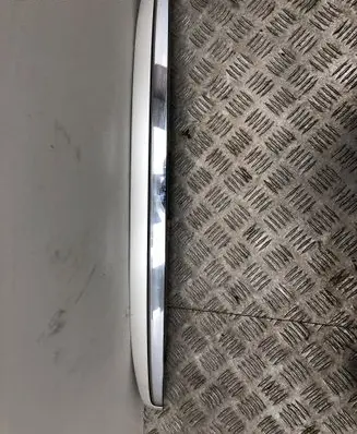 Trunk door license plate light bar