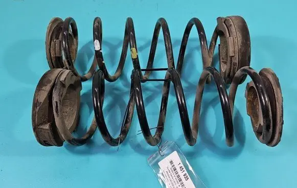 Rear coil spring
