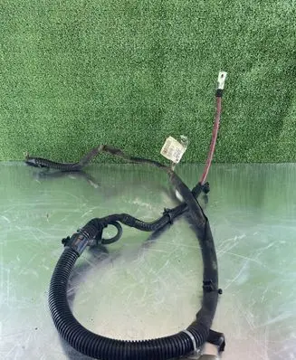 Opel Insignia A Wires (generator/alternator) 39018685