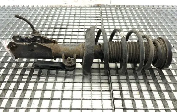 Opel Insignia A Front shock absorber/damper 