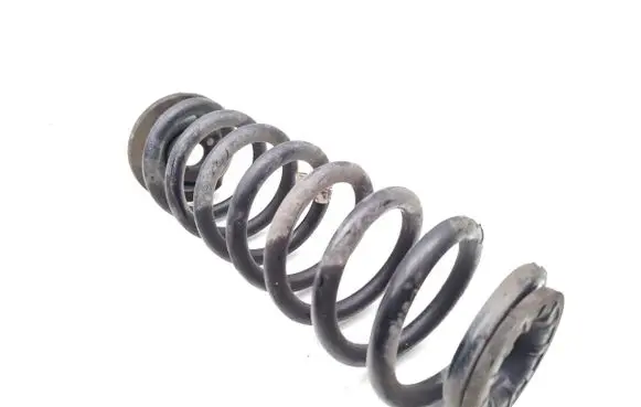 Hyundai Kona II Rear coil spring 5530HFEA0