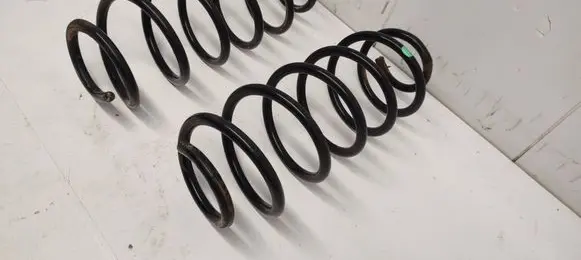 Rear coil spring