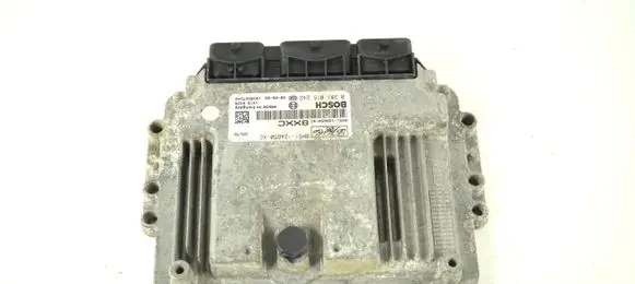 Engine control unit/module ECU