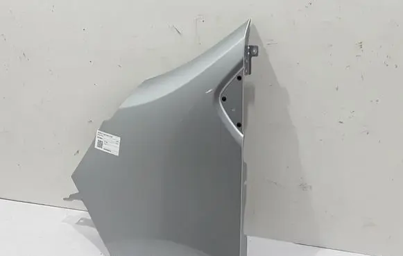 Renault Trafic III (X82) Fender 631018862R
