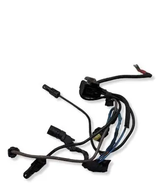 BMW 3 GT F34 Plug wire 7811938 TD006569
