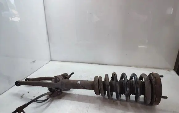 Hyundai Sonata Front shock absorber with coil spring