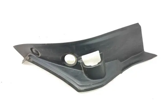 Rear/tail light trim molding