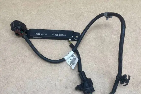 Hyundai Genesis Keyless system antenna 95420B1200