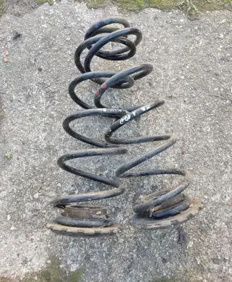 Mercedes-Benz A W169 Rear coil spring A1698260384