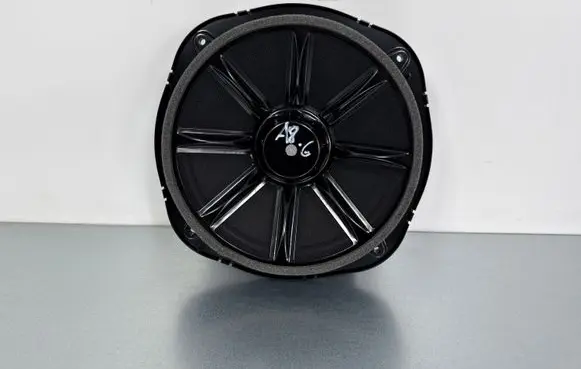 Audi A8 S8 D5 Subwoofer speaker 4N0035412B