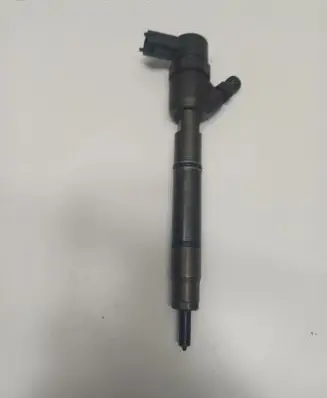 Hyundai i30 Fuel injector 0445110256